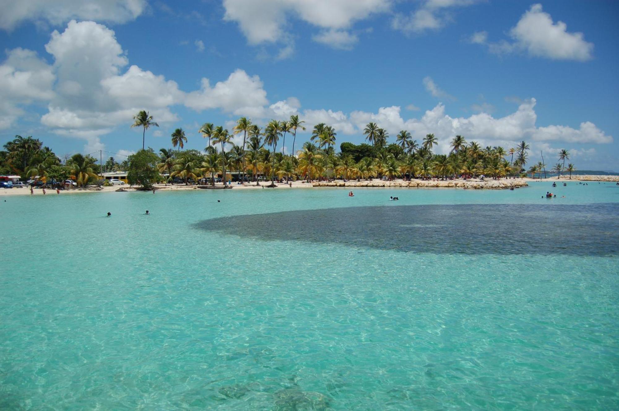 Couleurs Caraibes - Plage Et Tranquillite Daire Sainte-Anne  Dış mekan fotoğraf